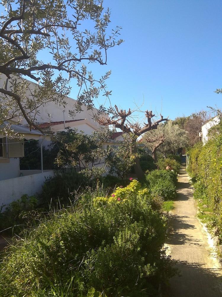 Roula'S Rooms Aegina المظهر الخارجي الصورة